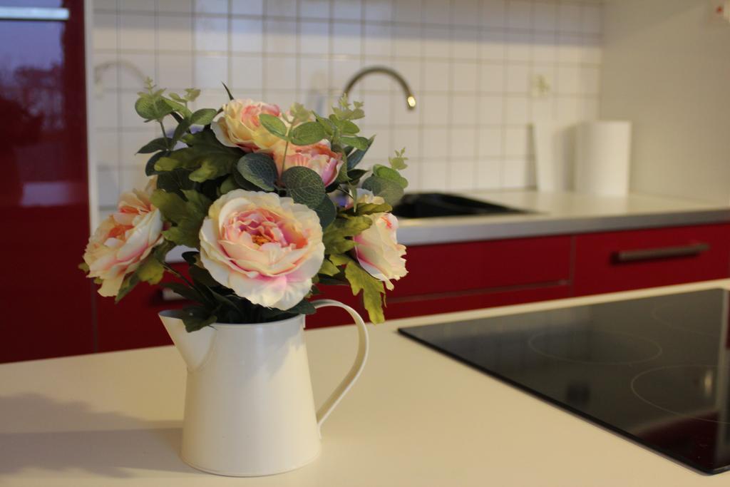 Apartament Podgorna 12 Stary Toruń Exteriér fotografie